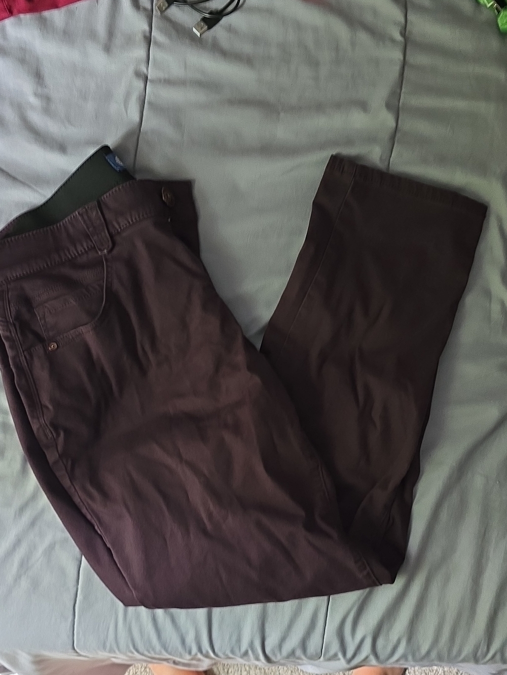 Democracy Dark Purple Pants